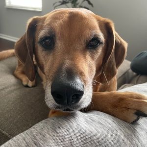 Meet your Posher, Catherine